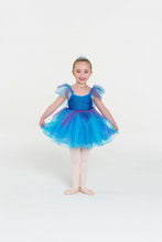 Load image into Gallery viewer, Fairy Doll Tutu